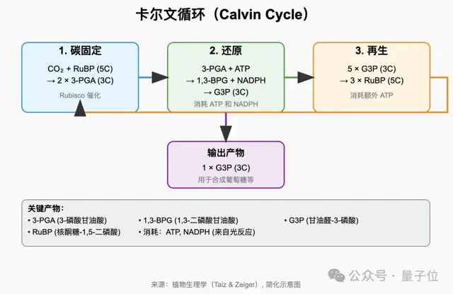 王兴一鸣惊人!美团首个开源大模型追平DeepSeek-V3.1