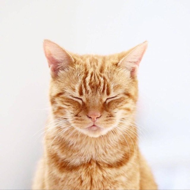 开源一个 PPT Skill｜压进了我 10 年的设计经验