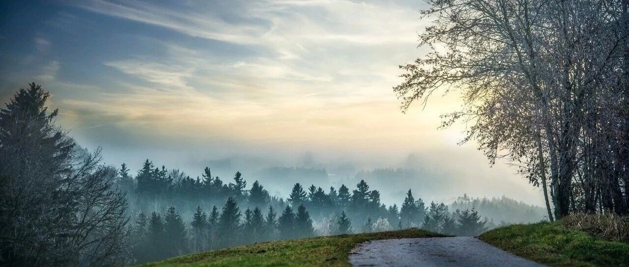 Demystifying Milvus Vector Indexes: A Guide for Traditional DBAs