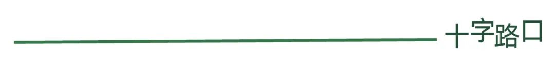 AI 时代是谁的黄金时代？｜和张咋啦聊：文科生、积极行动、爆款的规律、普通人也能赢