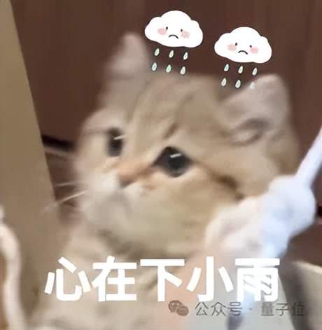 训具身模型遇到的很多问题，在数据采集时就已经注定了丨鹿明联席 CTO 丁琰分享