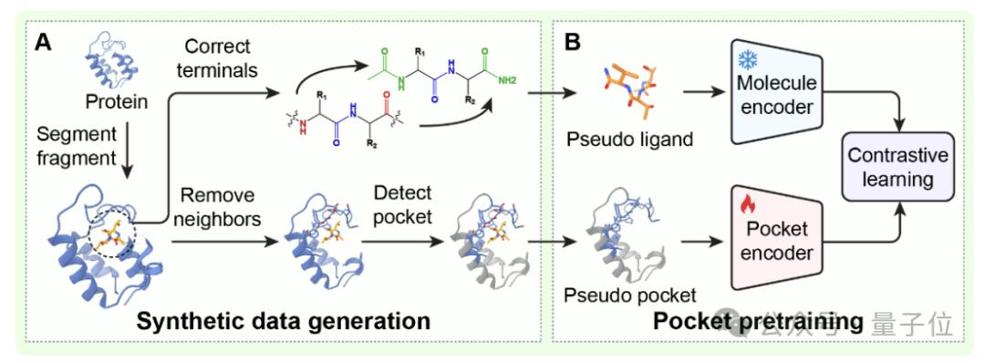 清华 AI 找药登 Science！一天筛选 10 万亿次，解决 AlphaFold 遗留难题