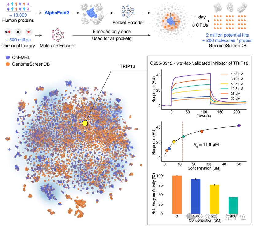 清华 AI 找药登 Science！一天筛选 10 万亿次，解决 AlphaFold 遗留难题