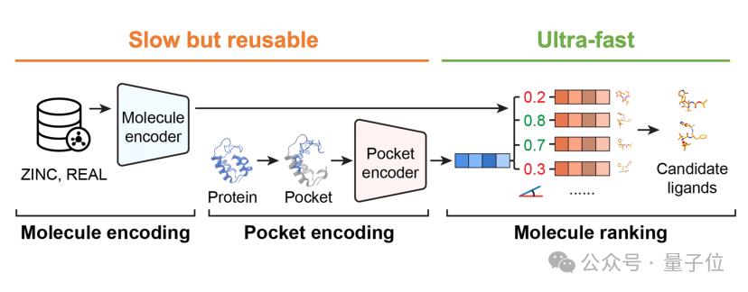 清华 AI 找药登 Science！一天筛选 10 万亿次，解决 AlphaFold 遗留难题