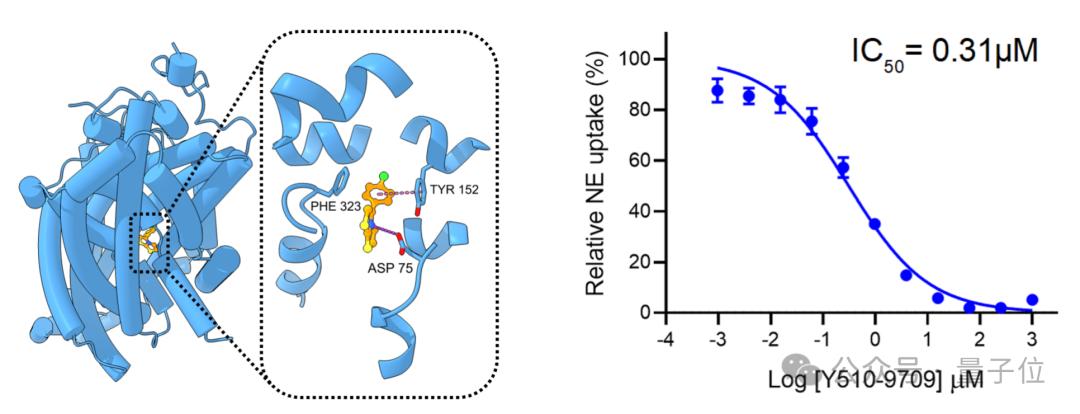 清华 AI 找药登 Science！一天筛选 10 万亿次，解决 AlphaFold 遗留难题