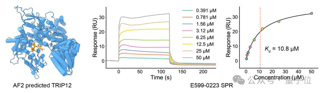 清华 AI 找药登 Science！一天筛选 10 万亿次，解决 AlphaFold 遗留难题