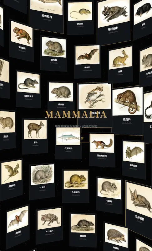 科技爱好者周刊（第 381 期）：中国 AI 大模型领导者在想什么