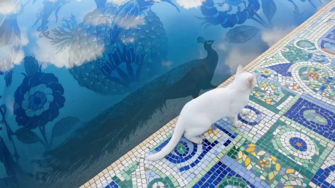 火爆全网的《卢浮宫小猫》AI 视频万字创作心得分享，这可能是他们最毫无保留的一次。