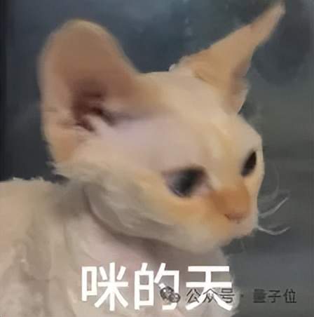 全球首个负载 100 斤的真实持续干活机器人，来自银河通用