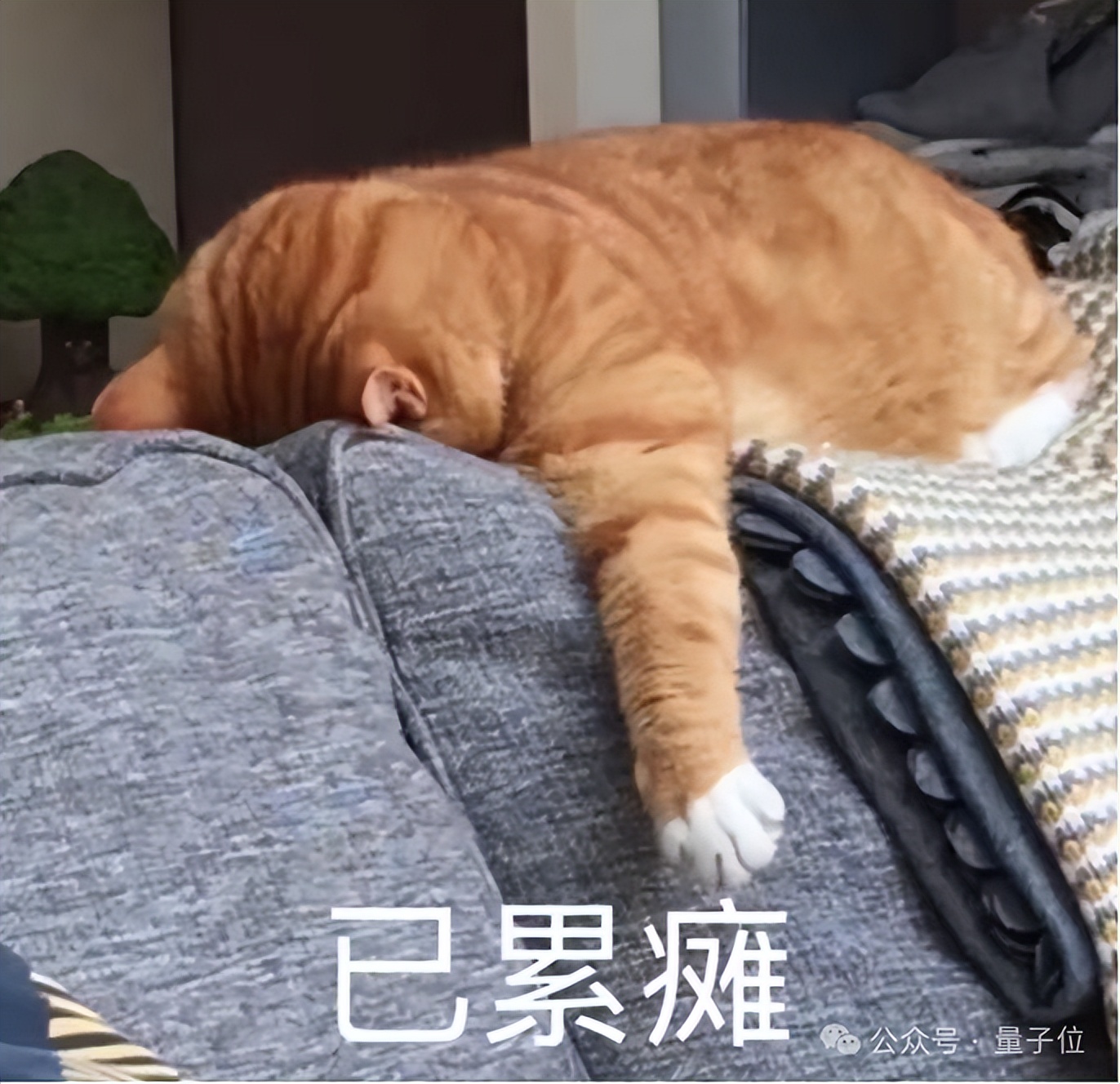 李飞飞的 World Labs 联手光轮智能，具身智能进入评测驱动时代！