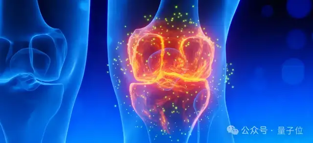 斯坦福「返老还童」新研究：无需干细胞，逆转关节损伤和老化