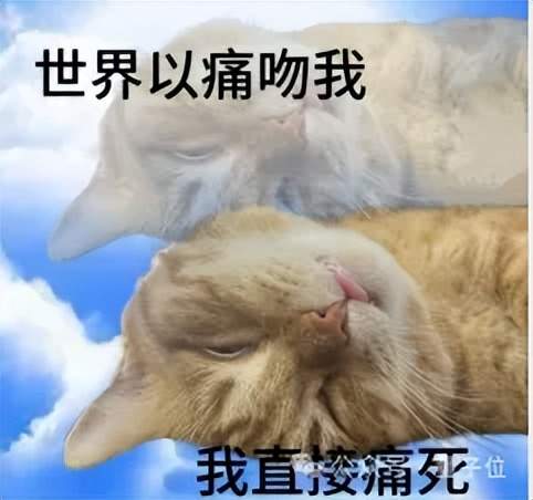 斯坦福「返老还童」新研究：无需干细胞，逆转关节损伤和老化