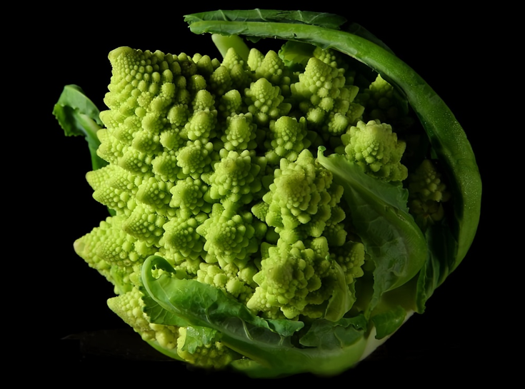 万字详解大模型推理加速核心原理:分形规律与资源计算公式