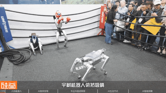 CES 2026 挑战:探展 50 个 AI 项目背后的泡沫与非共识