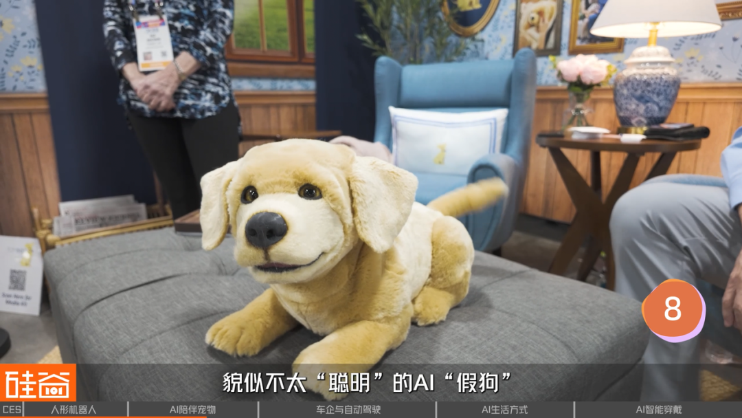 CES 2026 挑战:探展 50 个 AI 项目背后的泡沫与非共识